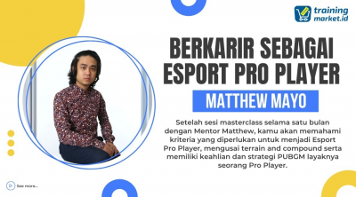 Berkarir Sebagai ESPORT Pro Player